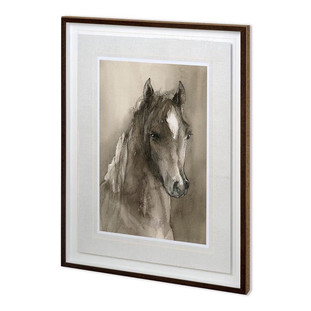 Mercana - Horse Portrait I by Mercana Studio a Hand Embellished Textured Framed Art Print Matted under Glass - 11990 view 1