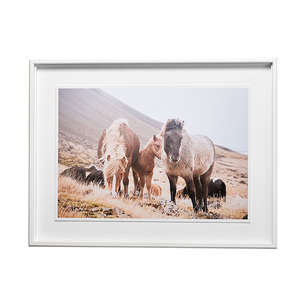 Mercana - Horses of Hofn I by Laura Marshall a Framed Art Print Matted under Glass - 13079 view 1