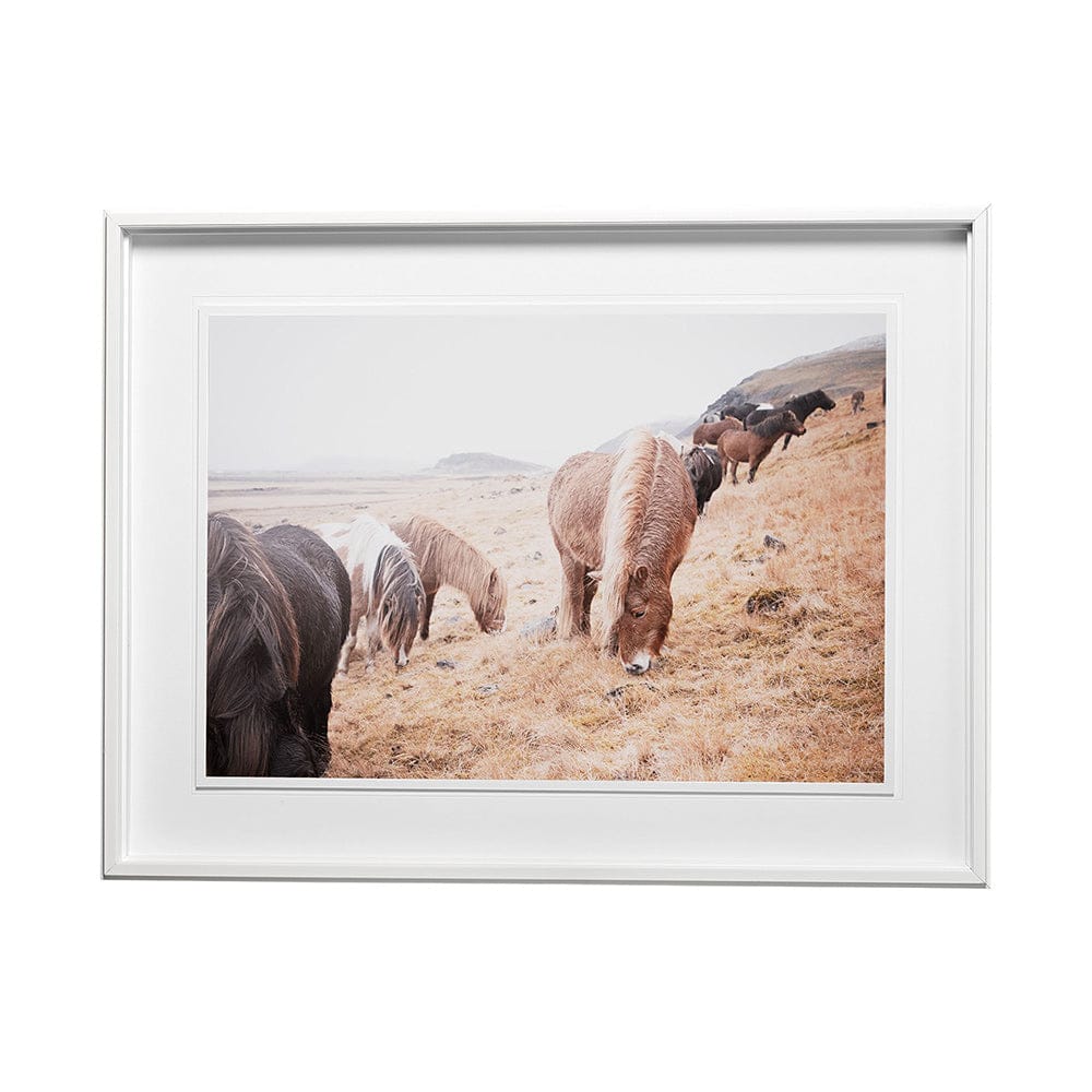 Mercana - Horses of Hofn II by Laura Marshall a Framed Art Print Matted under Glass - 13080 view 1