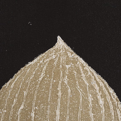 Mercana - Hosta C by Mary Margaret Briggs a Hand Embelished Textured Framed Art Print - 15393 view 7