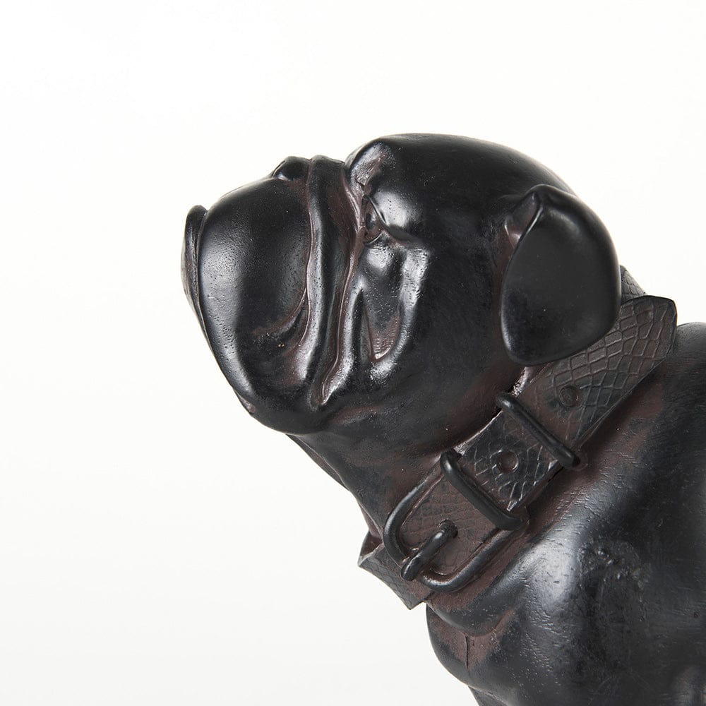 Mercana - Hugo 5L x 13W Black Resin Bulldog - 57799 view 7