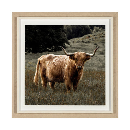 Mercana - Humphry by Assaf Frank a Framed Art Print Matted under Glass - 13417 view 1