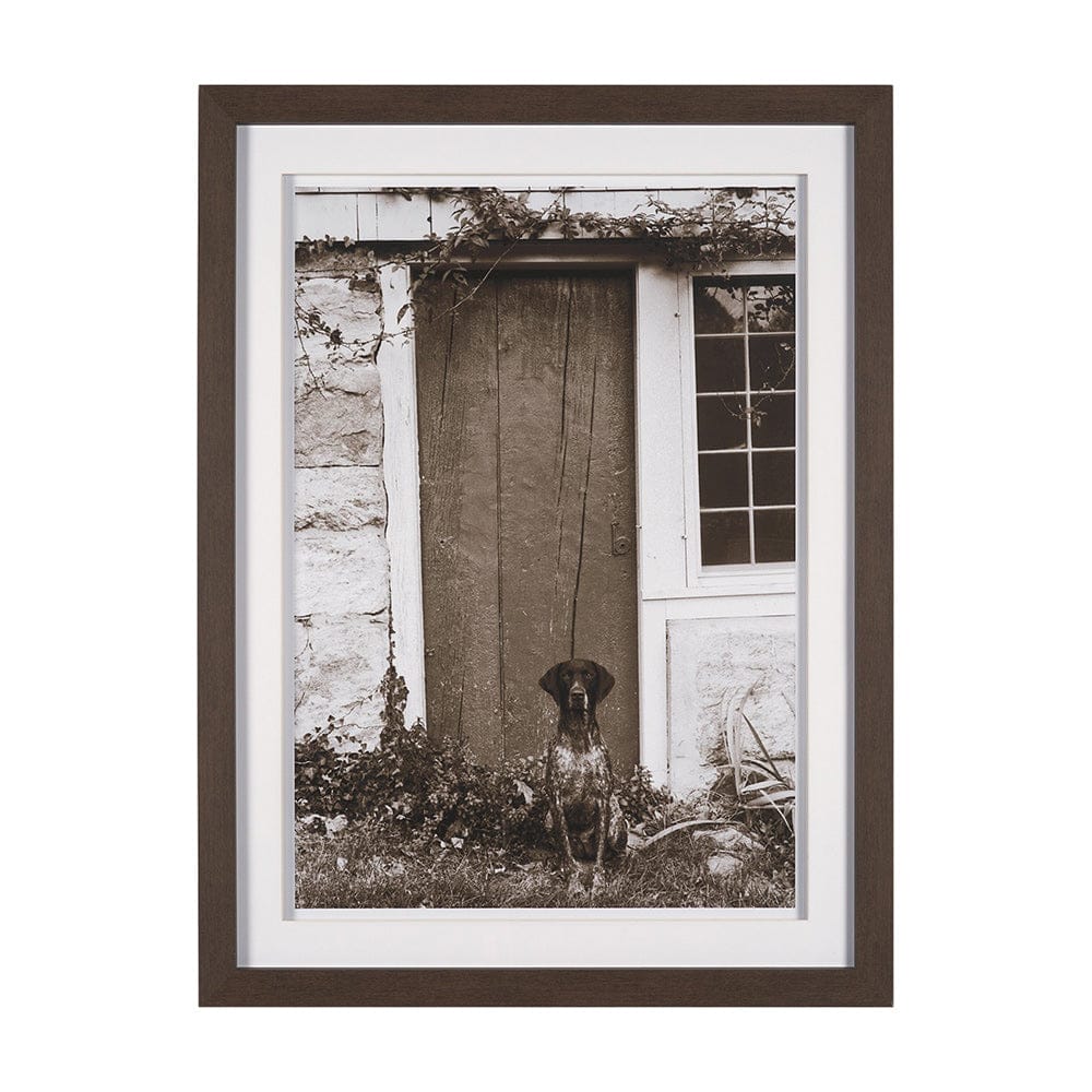 Mercana - I am Home by Jim Dratfield a Framed Photo Print Matted Under Glass - 15858 view 1