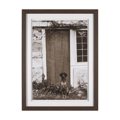 Mercana - I am Home by Jim Dratfield a Framed Photo Print Matted Under Glass - 15858 view 1