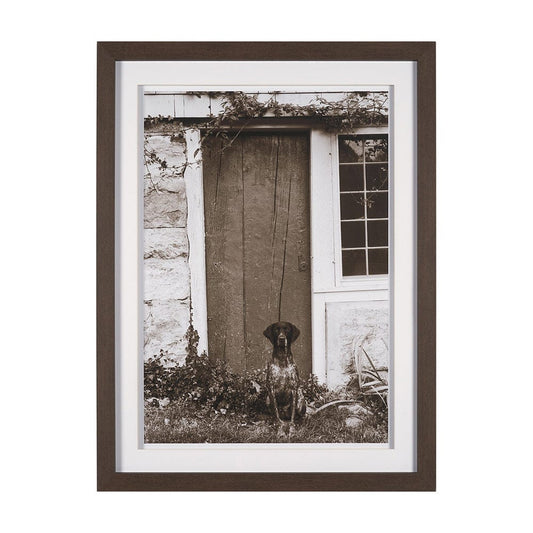 Mercana - I am Home by Jim Dratfield a Framed Photo Print Matted Under Glass - 15858 view 1