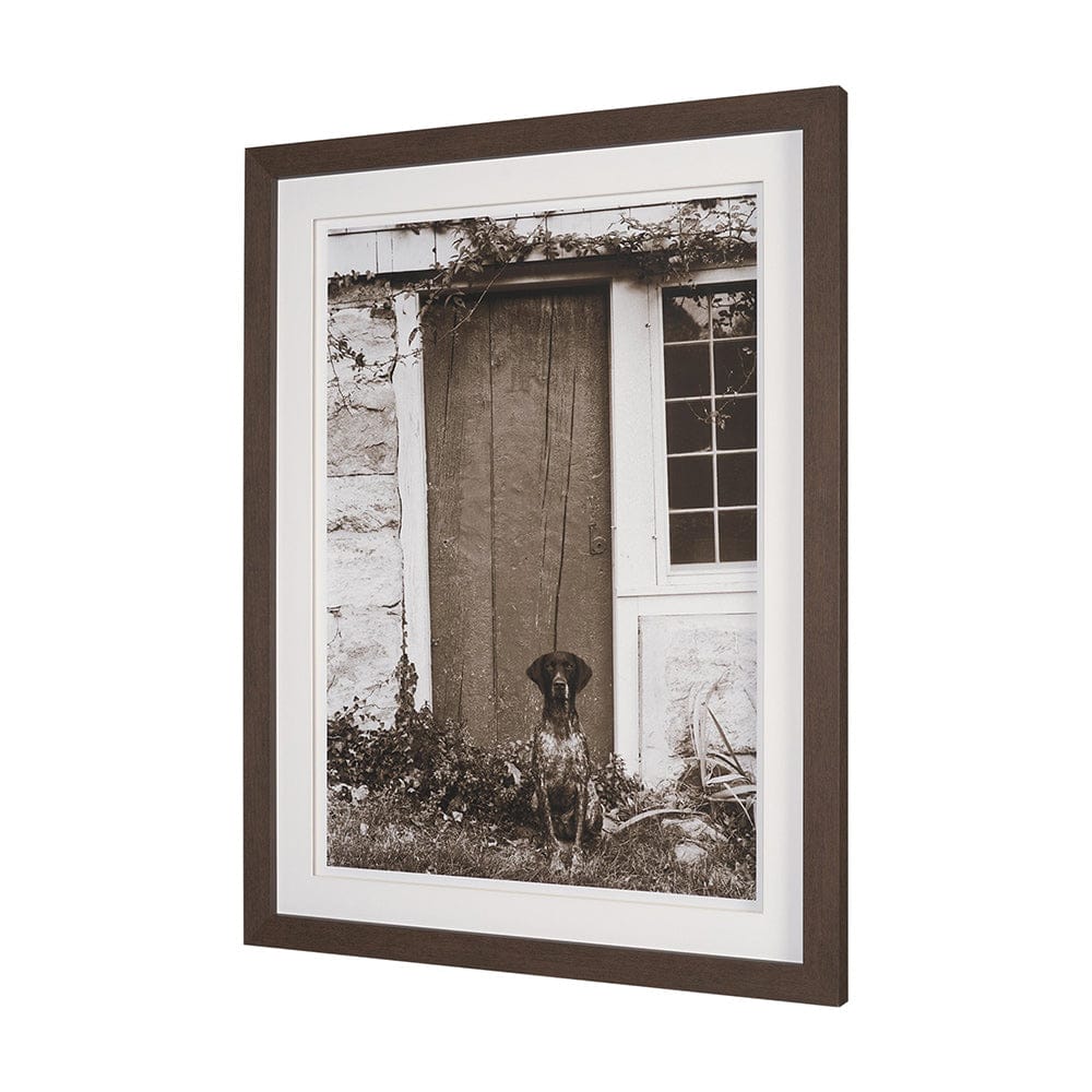 Mercana - I am Home by Jim Dratfield a Framed Photo Print Matted Under Glass - 15858 view 2