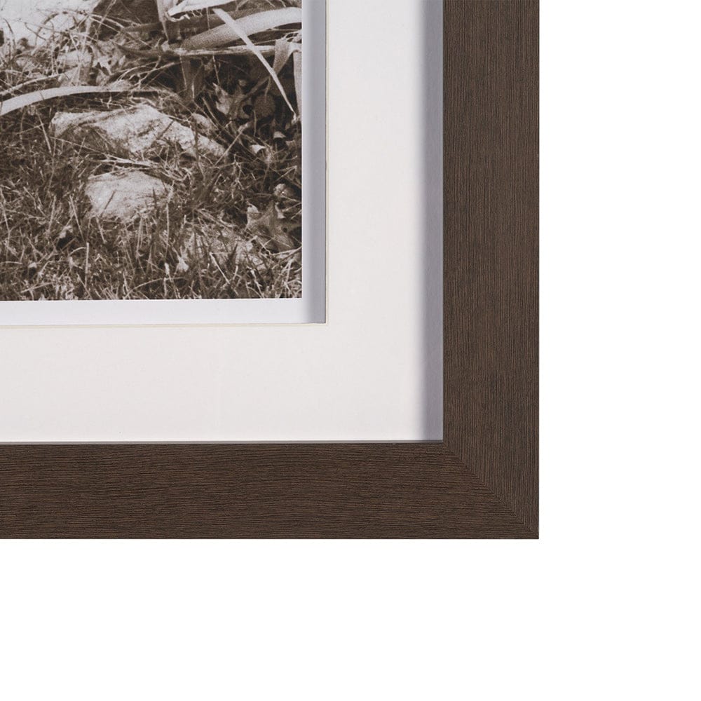 Mercana - I am Home by Jim Dratfield a Framed Photo Print Matted Under Glass - 15858 view 3