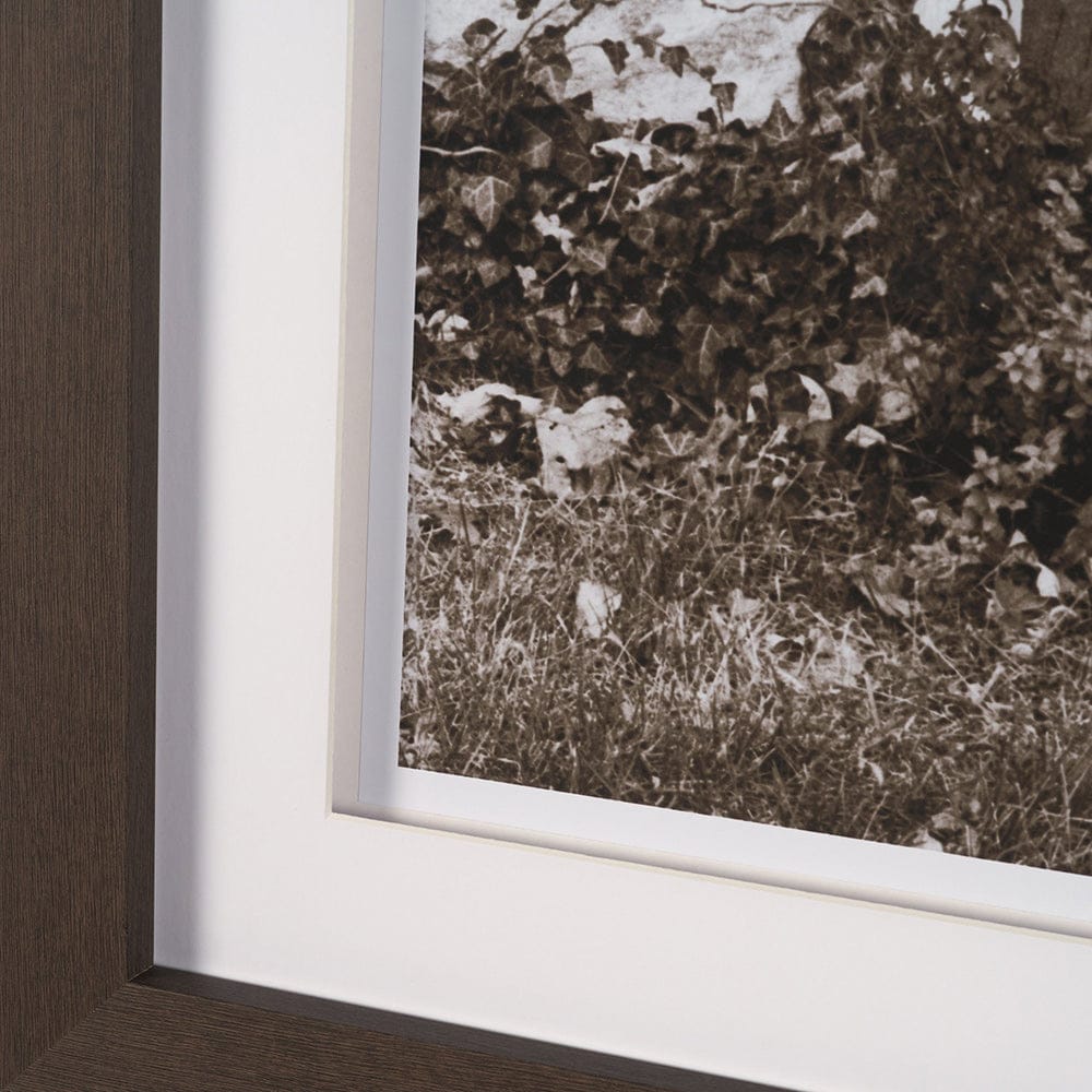 Mercana - I am Home by Jim Dratfield a Framed Photo Print Matted Under Glass - 15858 view 5