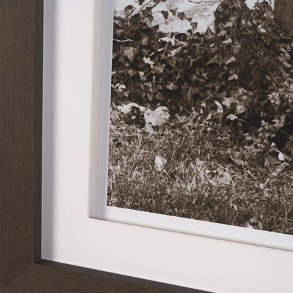 Mercana - I am Home by Jim Dratfield a Framed Photo Print Matted Under Glass - 15858 view 5