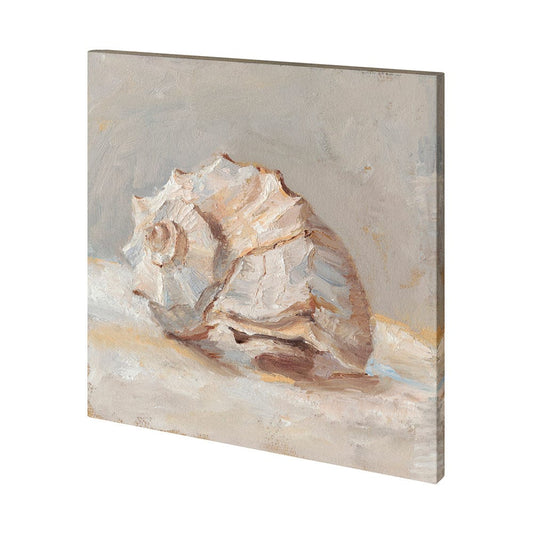 Mercana - Impressionist Shell Study II by Mercana Studio a Hand Embellished Textured Canvas - 101361-L view 1