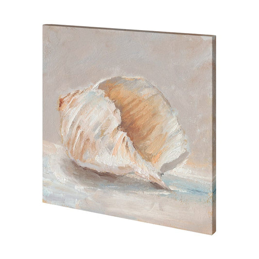 Mercana - Impressionist Shell Study IV by Mercana Studio a Hand Embellished Textured Canvas - 101363-L view 1