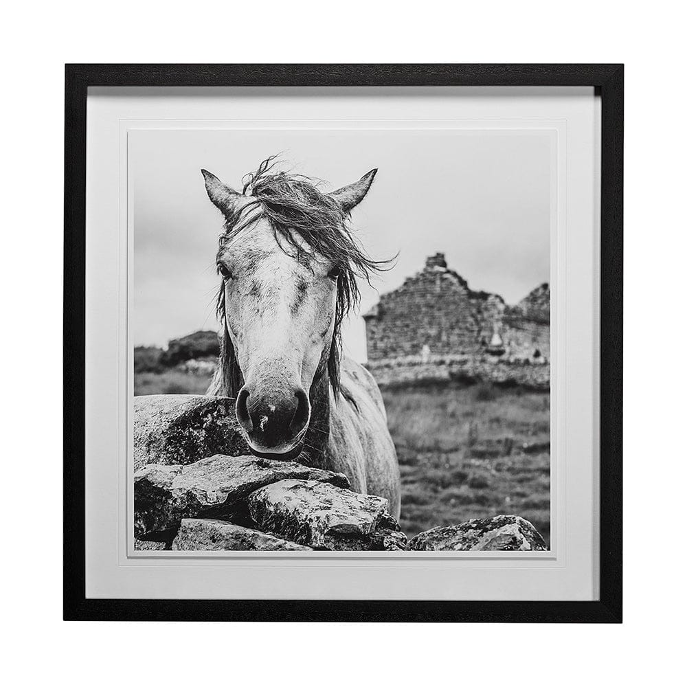 Mercana - Ireland Black & White by Arabella Studios a Framed Art Print Matted under Glass - 13189 view 1