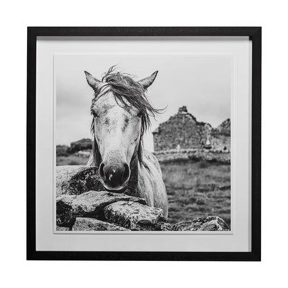 Mercana - Ireland Black & White by Arabella Studios a Framed Art Print Matted under Glass - 13189 view 1