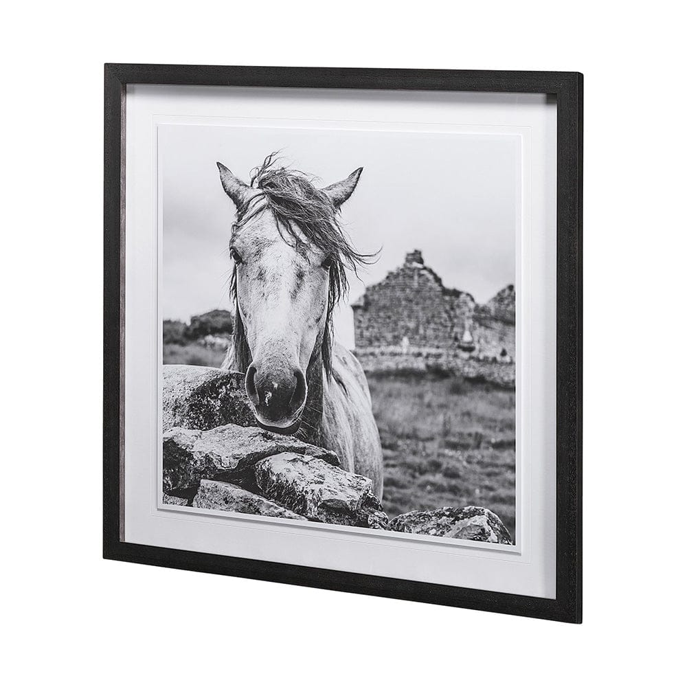 Mercana - Ireland Black & White by Arabella Studios a Framed Art Print Matted under Glass - 13189 view 4