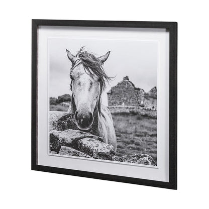 Mercana - Ireland Black & White by Arabella Studios a Framed Art Print Matted under Glass - 13189 view 4