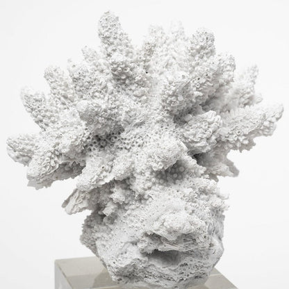 Mercana - Isla Large 5L x 5W White Replica Resin Coral On Clear White Glass - 68927_CLOSEOUT view 6