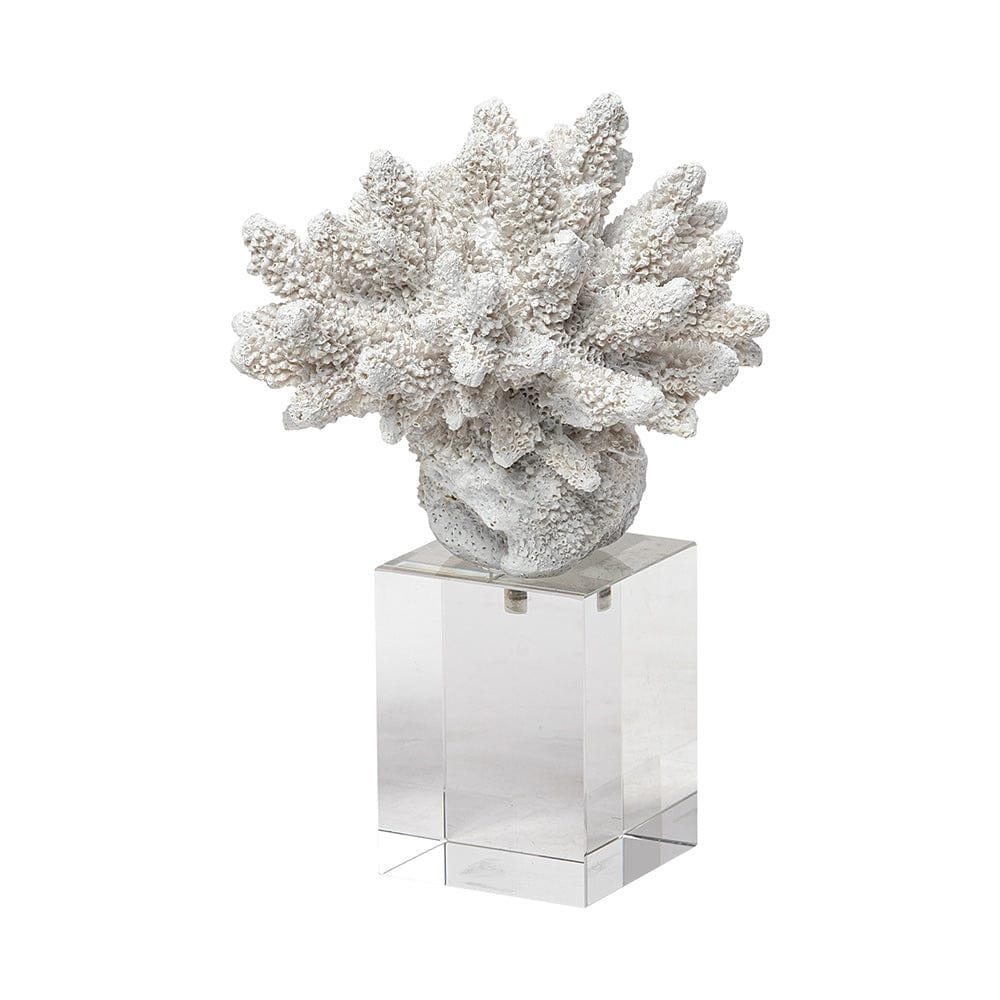 Mercana - Isla Small 5L x 5W White Replica Resin Coral On Clear White Glass - 68926 view 1