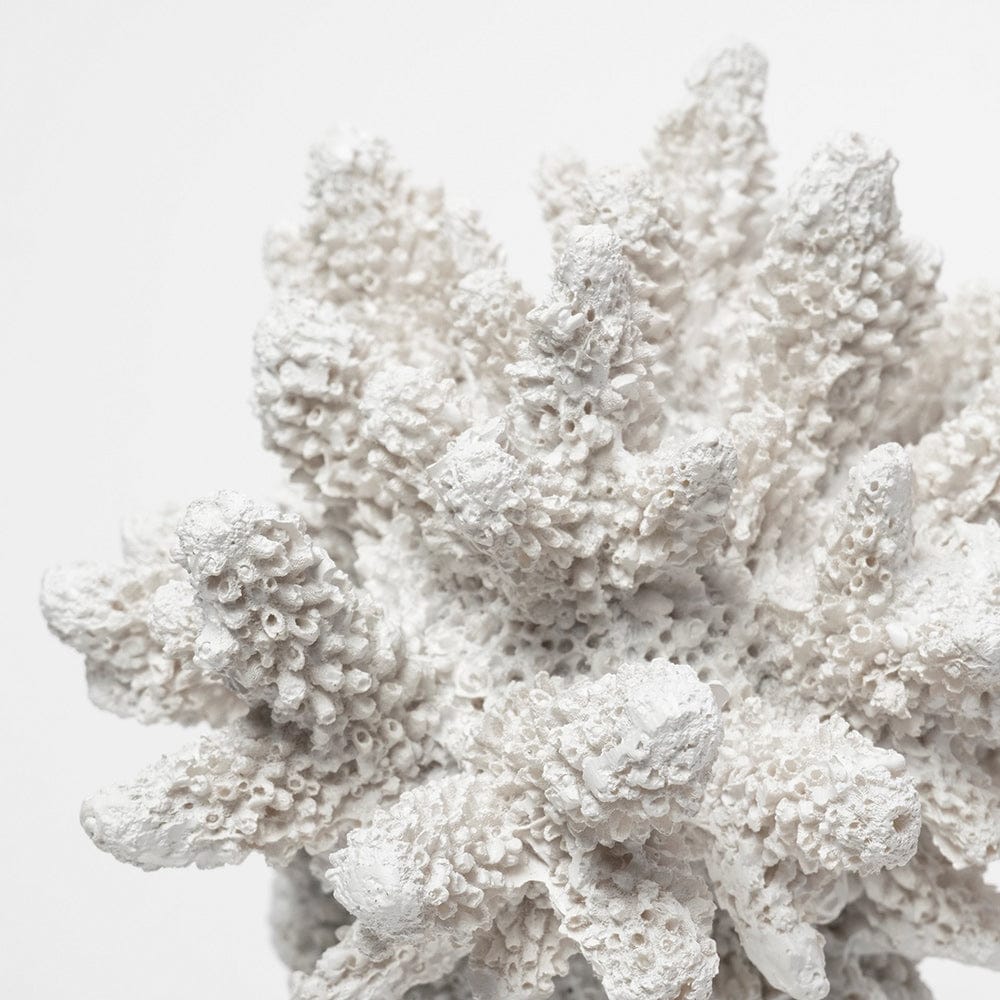 Mercana - Isla Small 5L x 5W White Replica Resin Coral On Clear White Glass - 68926 view 6
