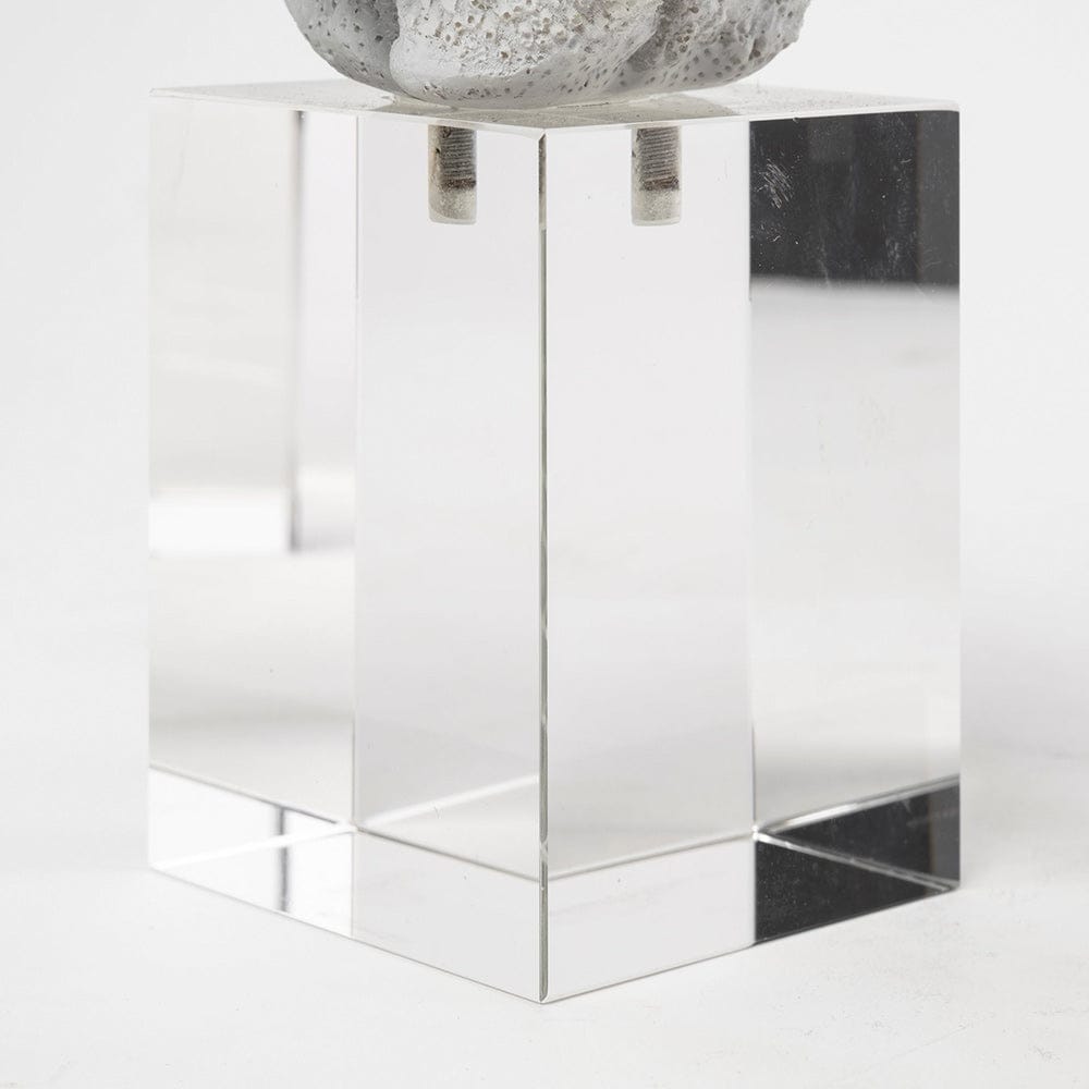 Mercana - Isla Small 5L x 5W White Replica Resin Coral On Clear White Glass - 68926 view 7