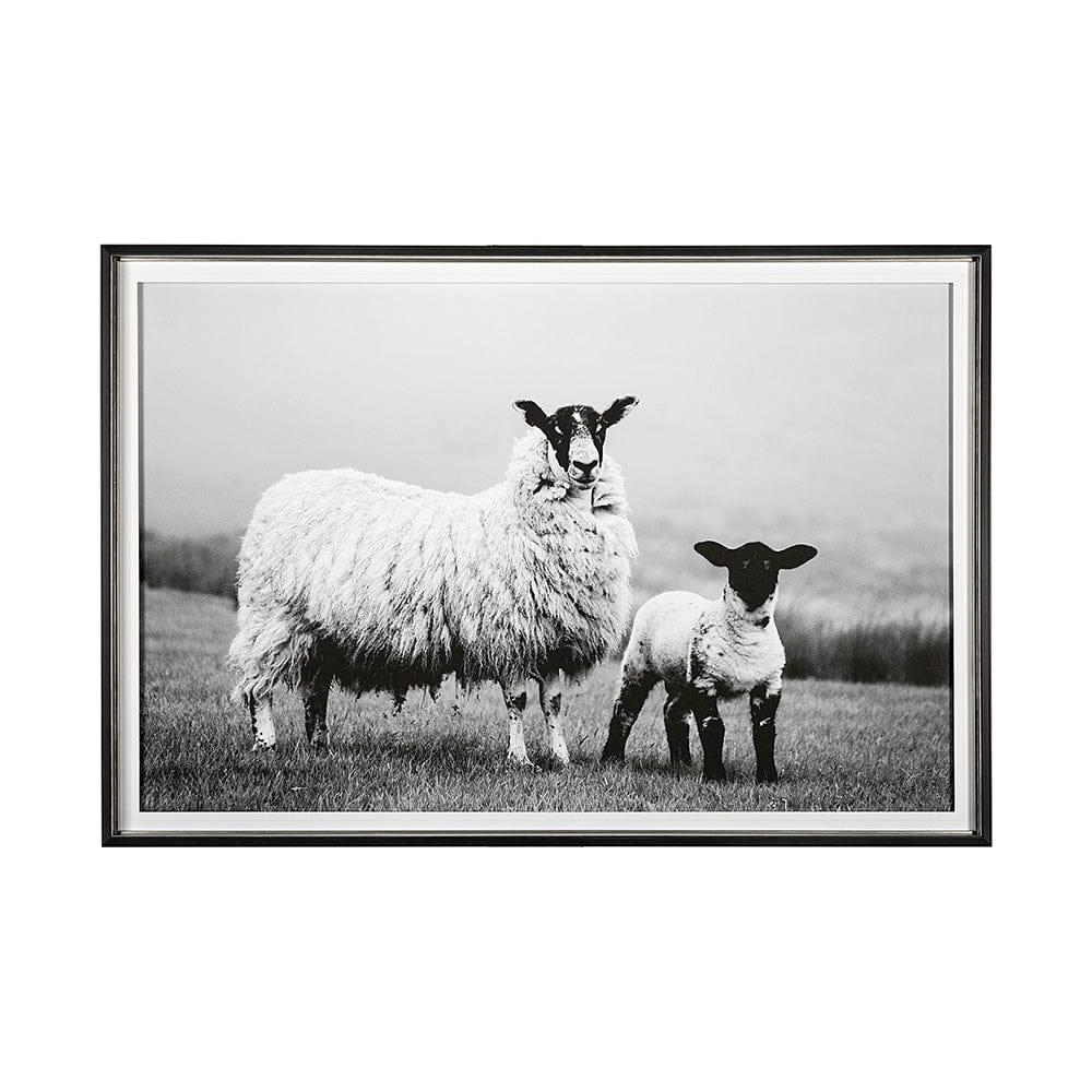 Mercana - Islay Sheep I by Laura Marshall a Framed Art Print Matted under Glass - 13348 view 1