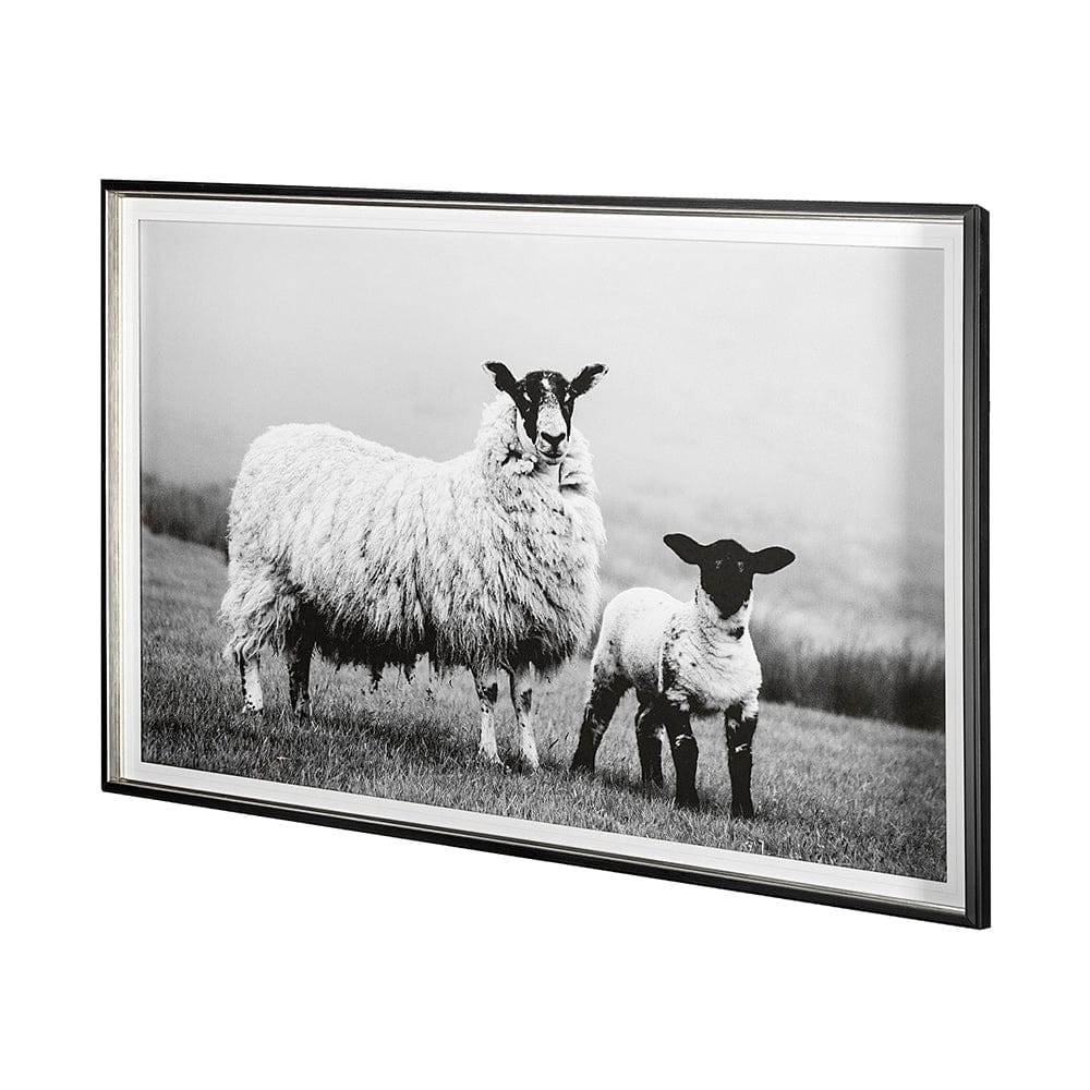 Mercana - Islay Sheep I by Laura Marshall a Framed Art Print Matted under Glass - 13348 view 2