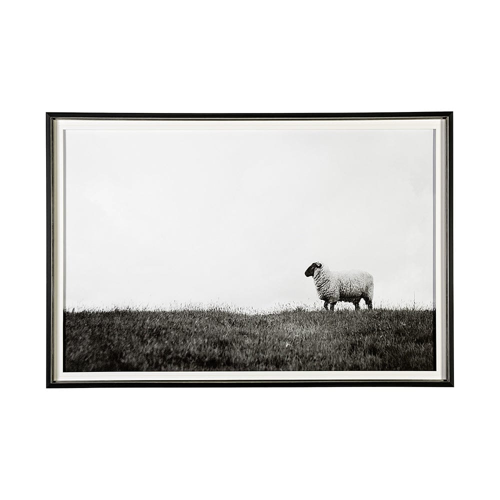 Mercana - Islay Sheep II by Laura Marshall a Framed Art Print Matted under Glass - 13349 view 1