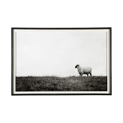 Mercana - Islay Sheep II by Laura Marshall a Framed Art Print Matted under Glass - 13349 view 1