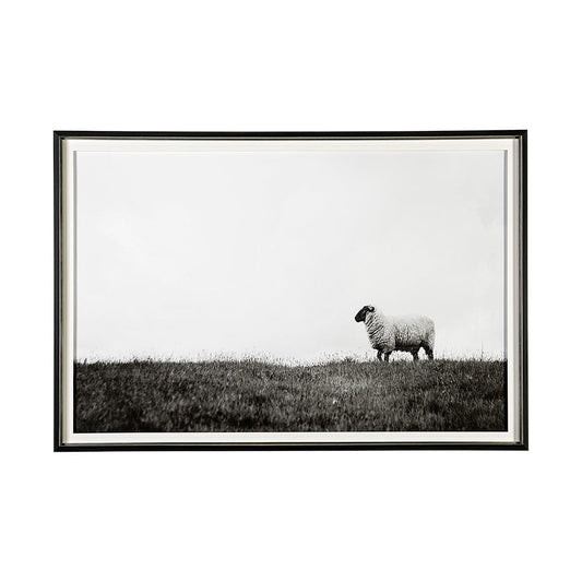 Mercana - Islay Sheep II by Laura Marshall a Framed Art Print Matted under Glass - 13349 view 1
