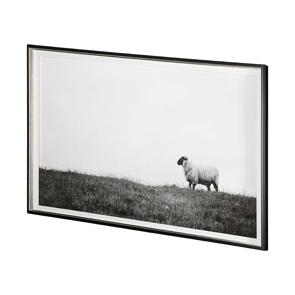 Mercana - Islay Sheep II by Laura Marshall a Framed Art Print Matted under Glass - 13349 view 2