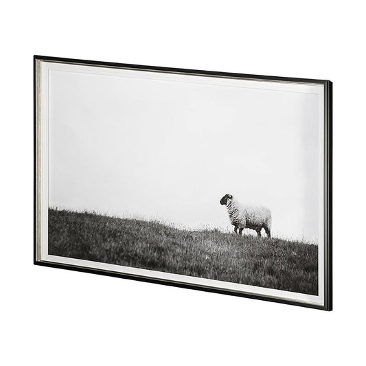 Mercana - Islay Sheep II by Laura Marshall a Framed Art Print Matted under Glass - 13349 view 2