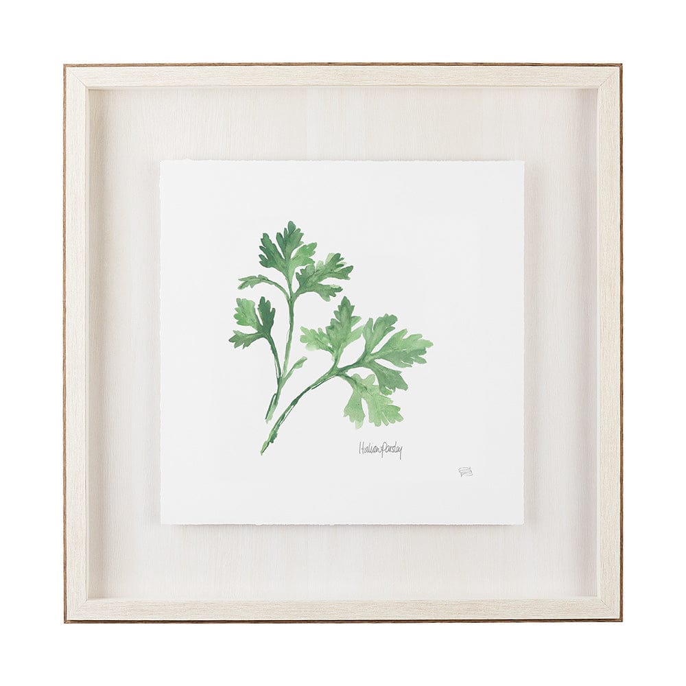Mercana - Italian Parsley v2 by Chris Paschke a Framed Art Print Matted under Glass - 11342 view 1