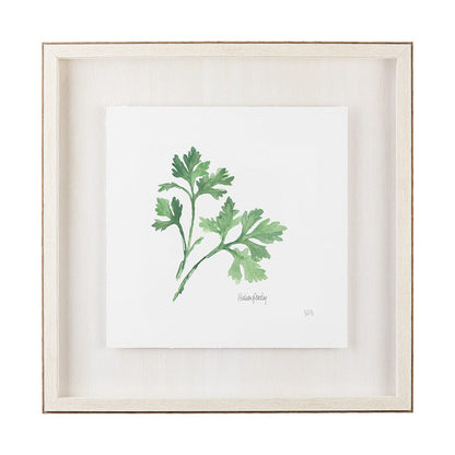 Mercana - Italian Parsley v2 by Chris Paschke a Framed Art Print Matted under Glass - 11342 view 1