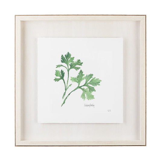 Mercana - Italian Parsley v2 by Chris Paschke a Framed Art Print Matted under Glass - 11342 view 1
