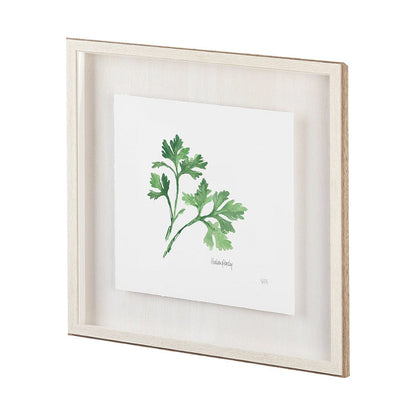 Mercana - Italian Parsley v2 by Chris Paschke a Framed Art Print Matted under Glass - 11342 view 2