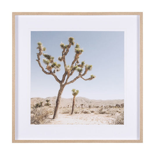 Mercana - Joshua Tree 1 by THE Studio a Framed Art Print Matted under Glass - 15359 view 1