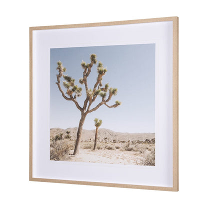 Mercana - Joshua Tree 1 by THE Studio a Framed Art Print Matted under Glass - 15359 view 2