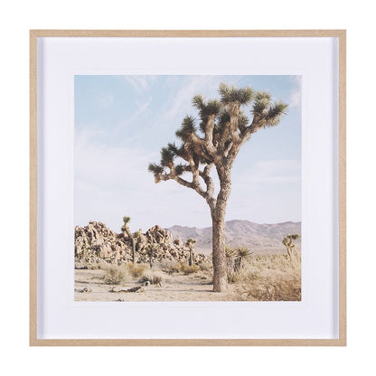 Mercana - Joshua Tree 3 by THE Studio a Framed Art Print Matted under Glass - 15360 view 1