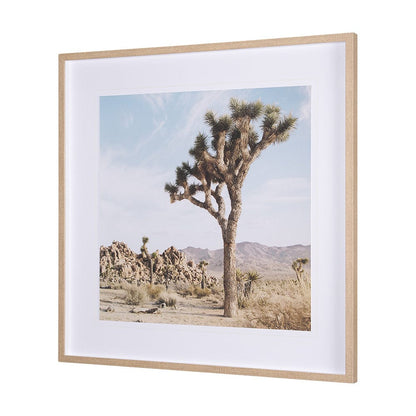 Mercana - Joshua Tree 3 by THE Studio a Framed Art Print Matted under Glass - 15360 view 2