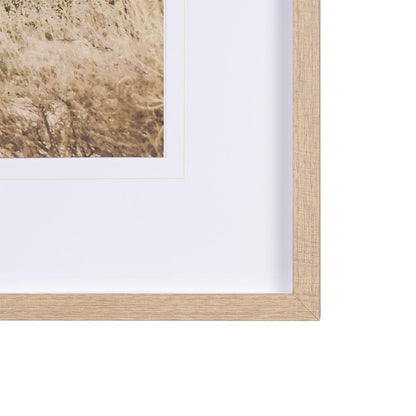 Mercana - Joshua Tree 3 by THE Studio a Framed Art Print Matted under Glass - 15360 view 3