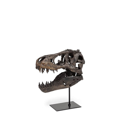 Mercana - Jurassic 6L x 10W Brown Resin Tyrannosaurus Skull Replica - 67025 view 1