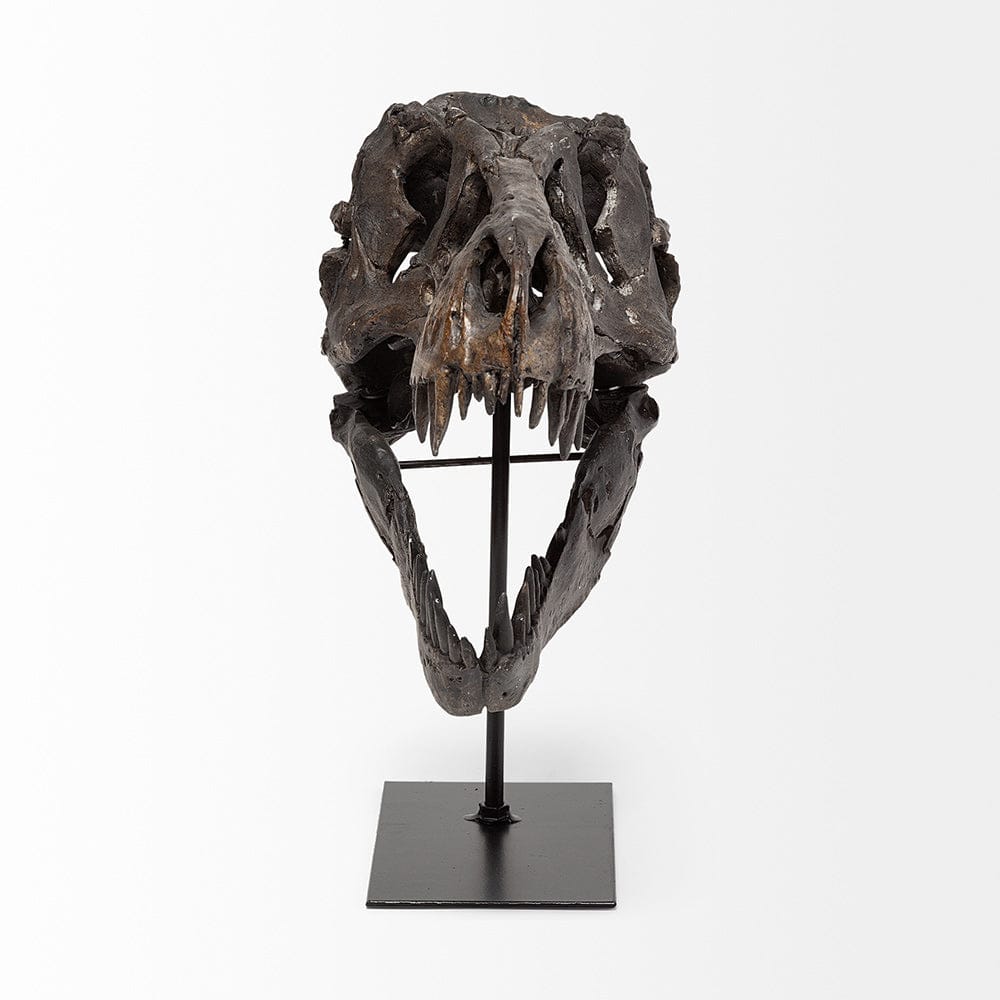 Mercana - Jurassic 6L x 10W Brown Resin Tyrannosaurus Skull Replica - 67025 view 2