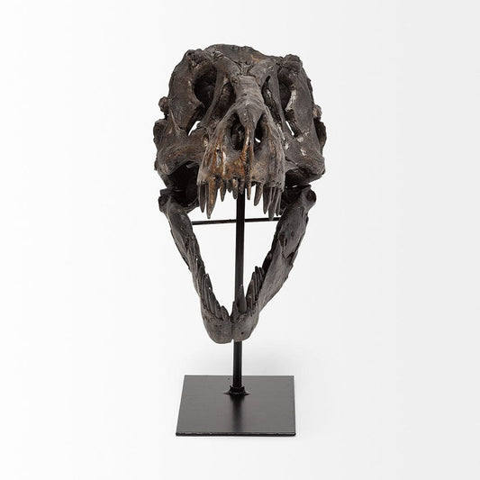 Mercana - Jurassic 6L x 10W Brown Resin Tyrannosaurus Skull Replica - 67025 view 2