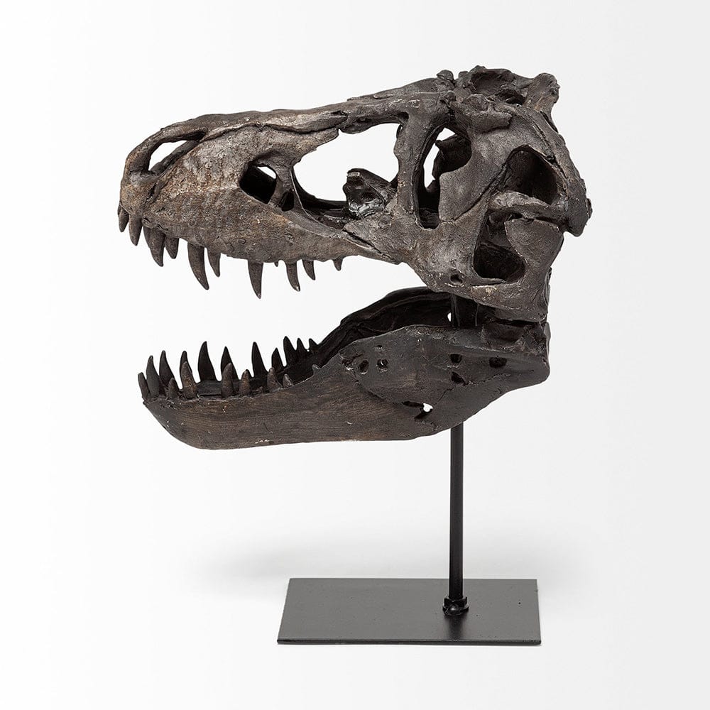 Mercana - Jurassic 6L x 10W Brown Resin Tyrannosaurus Skull Replica - 67025 view 5