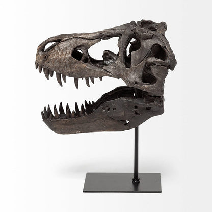 Mercana - Jurassic 6L x 10W Brown Resin Tyrannosaurus Skull Replica - 67025 view 5