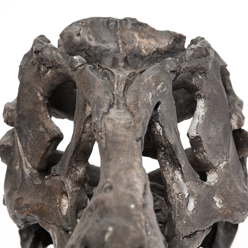 Mercana - Jurassic 6L x 10W Brown Resin Tyrannosaurus Skull Replica - 67025 view 7