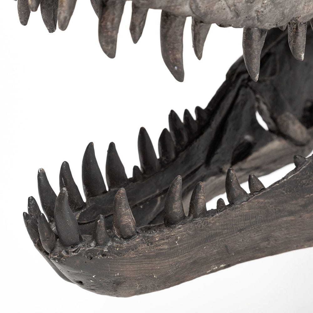 Mercana - Jurassic 6L x 10W Brown Resin Tyrannosaurus Skull Replica - 67025 view 8