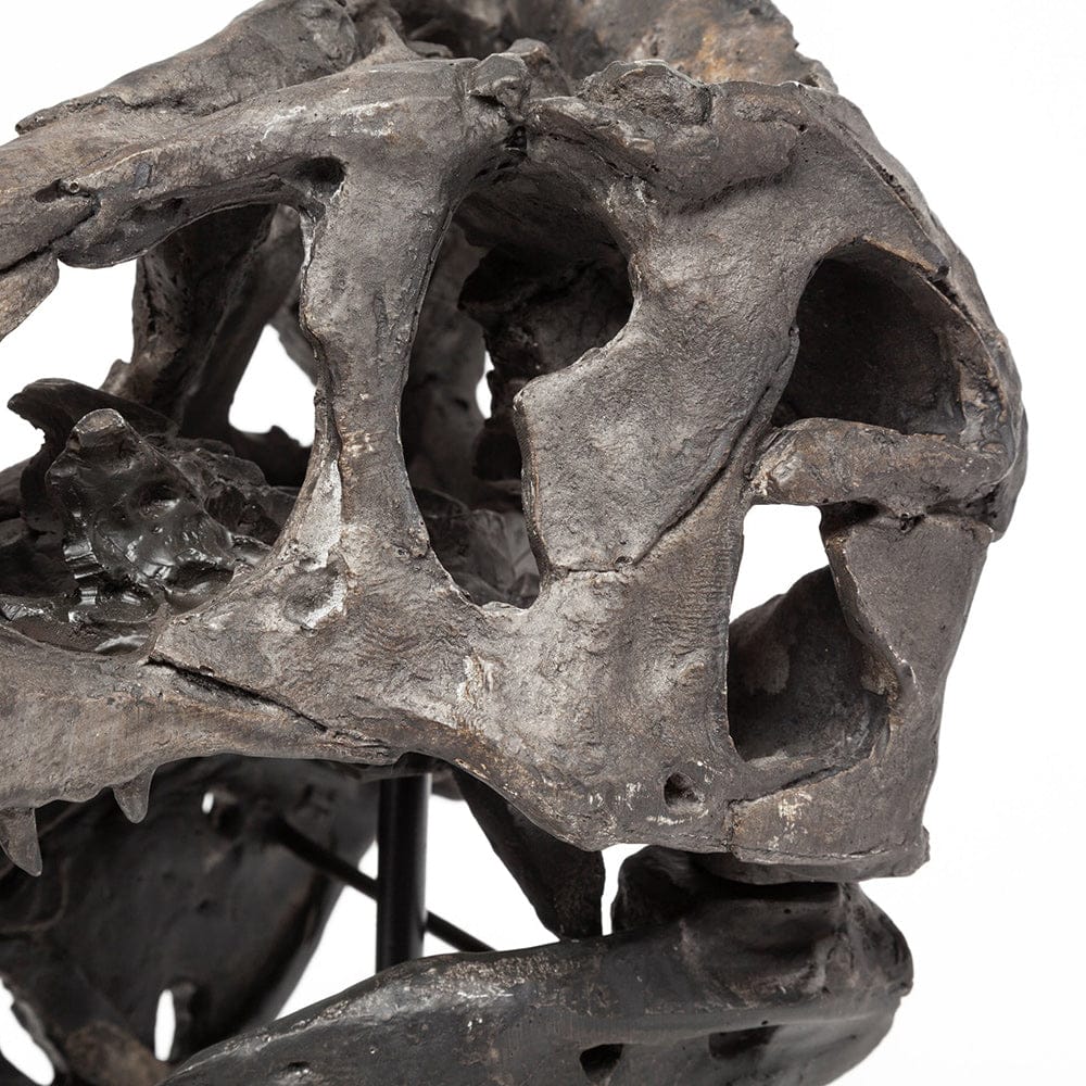 Mercana - Jurassic 6L x 10W Brown Resin Tyrannosaurus Skull Replica - 67025 view 10