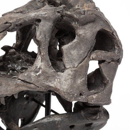 Mercana - Jurassic 6L x 10W Brown Resin Tyrannosaurus Skull Replica - 67025 view 10