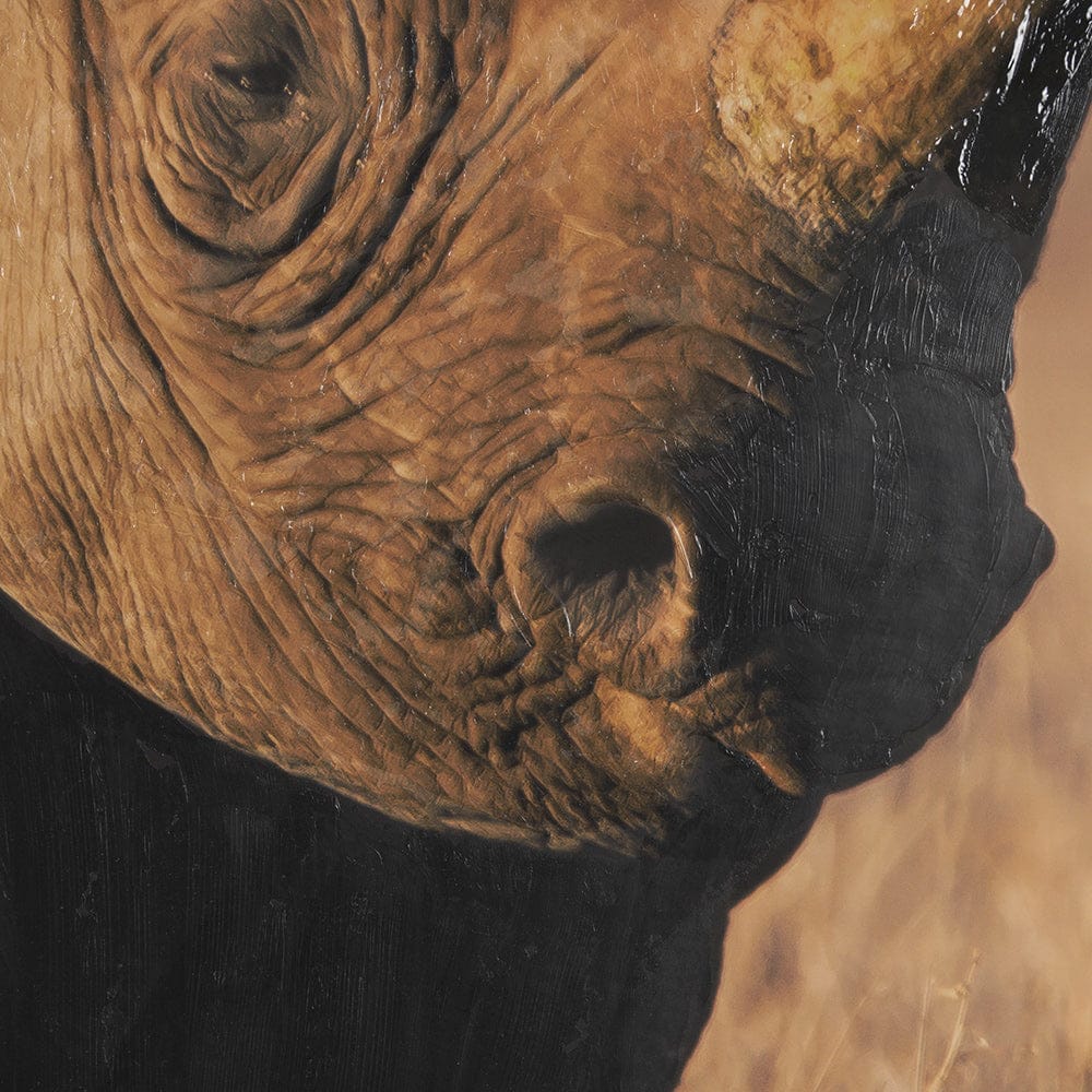 Mercana - Kenyan Rhino by Max Blakesberg Studios a Hand Embellished Framed Art Print Matted under Glass - 15706 view 6