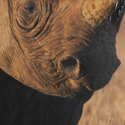 Mercana - Kenyan Rhino by Max Blakesberg Studios a Hand Embellished Framed Art Print Matted under Glass - 15706 view 6